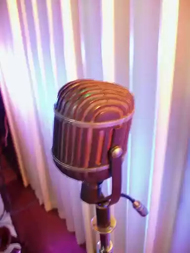 Microphone